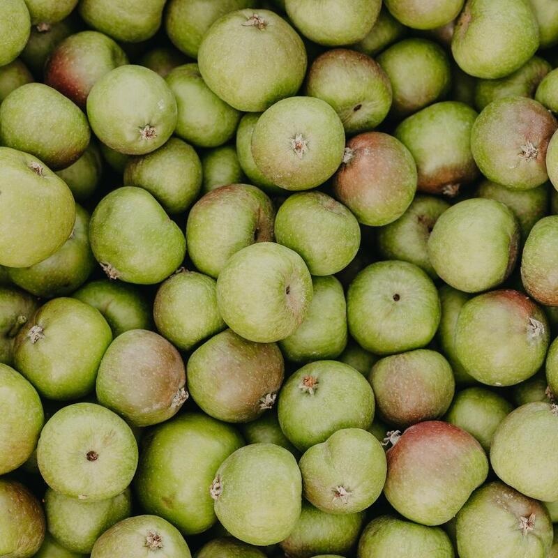 RAUSCH Anti-Pollution-Peeling-Shamp.m.Schweiz.Apf.